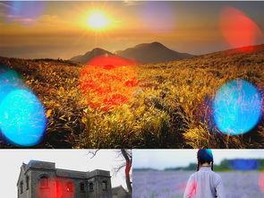 散兵背景爆料视频大全